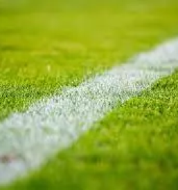 Valjanje trave na igriscih pomurje