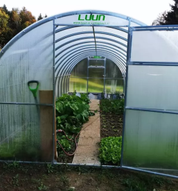 ugodna prodaja rastlinjakov 