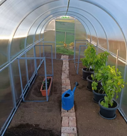 ugodna prodaja rastlinjakov slovenija