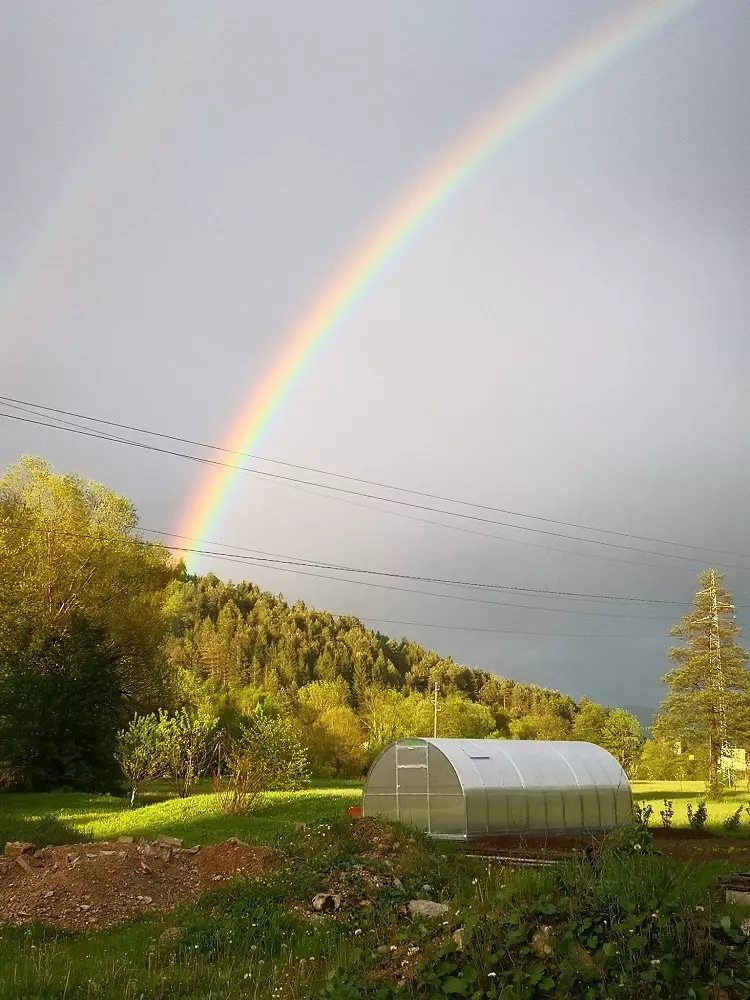 Prodaja rastlinjakov Slovenija