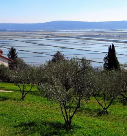 Rent a bike Piran and Slovenian coast