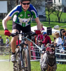 Spletna prodaja prehranskih dodatkov za hisne ljubljencke