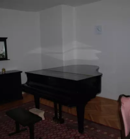 Ucenje violine ljubljana