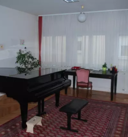 Ucenje violine ljubljana