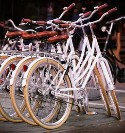 Ugoden servis koles ljubljana