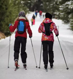 Ugoden servis koles Osrednja Slovenija