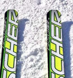 Ugoden servis smuči Osrednja Slovenija