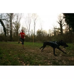 Dobra spletna trgovina za dodatke in hrano za pse v sloveniji