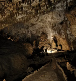 Dobra turisticna agencija izola primorska