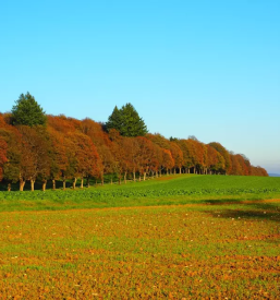 Prodaja pospesevalcev za rastline slovenija