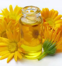 Prodaja tocenih parfumov obala