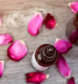 Prodaja tocenih parfumov obala