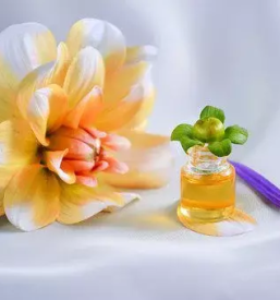 Prodaja tocenih parfumov obala primorska