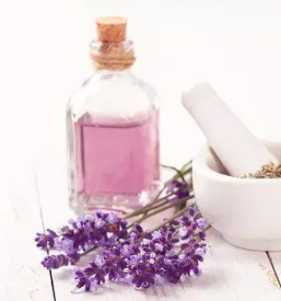 Prodaja tocenih parfumov obala primorska