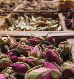 Prodaja tocenih parfumov primorska