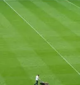 Valjanje trave na igriscih pomurje