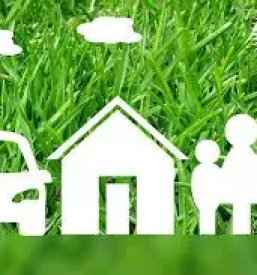 Zavarovalnica lukovica