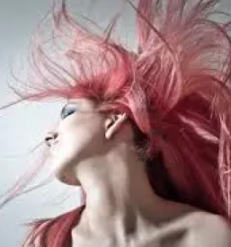 Dober frizerski salon krsko