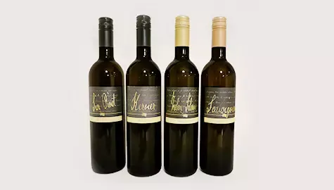 Poceni bela vina