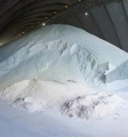 Sale of salt slovenia