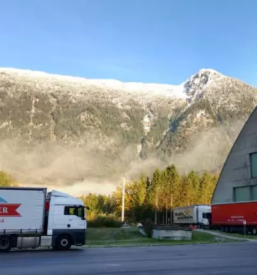 Sale of salt slovenia