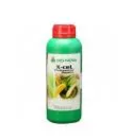 Konopljini izdelki piran