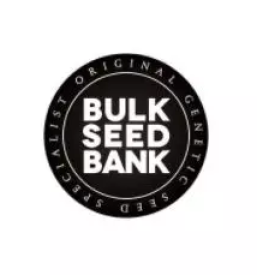 Konopljini izdelki piran