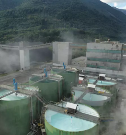 Prodaja in proizvodnja soli