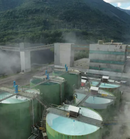 Prodaja soli slovenija