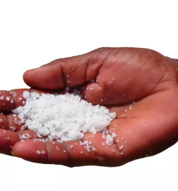 Prodaja soli slovenija