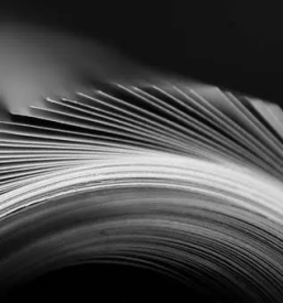 Izris načrtov Velenje, Savinjska