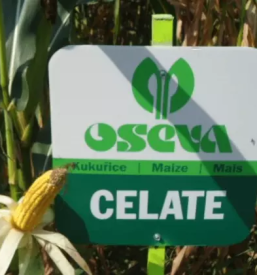 Prodaja silosov za skladiscenje slovenija