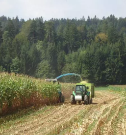Silosi za kmetijstvo slovenija