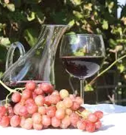 Degustacija vin stajerska