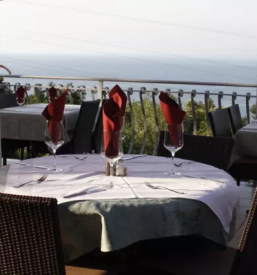 Dobra kosila beli kriz