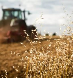 Popravilo traktorjev fendt slovenija
