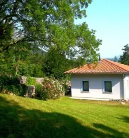 Ugodni apartmaji branik