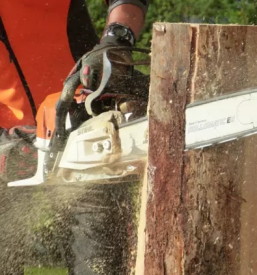 Usposabljanje za varstvo pri delu slovenija