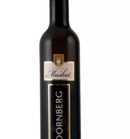 Vrhunska vina v vipavski dolini dornberk