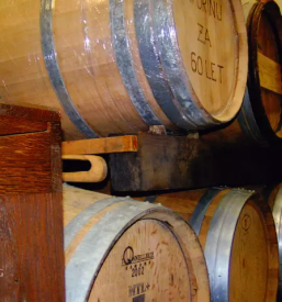 Vrhunska vina v vipavski dolini dornberk