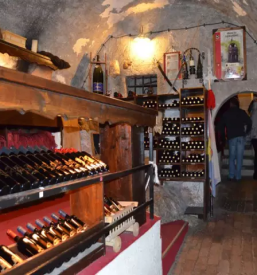 Vrhunska vina v vipavski dolini dornberk