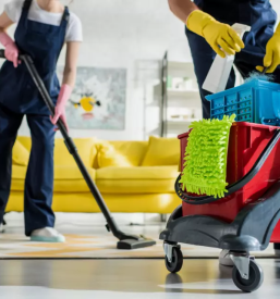 Ciscenje stanovanj kranj okolica