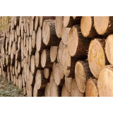 ARLES, PREDELAVA IN PRODAJA LESA, ALEKS BOROVNIK ROPIČ S.P.