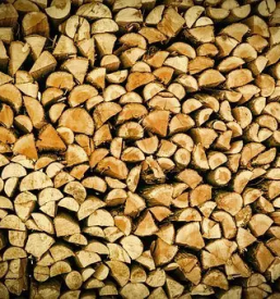 Secnja spravilo in prevoz lesa na podravskem