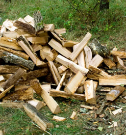 Ugodna drva za kurjavo podravska