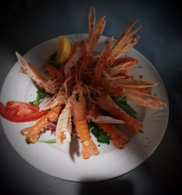 Dobra okrepcevalnica izola