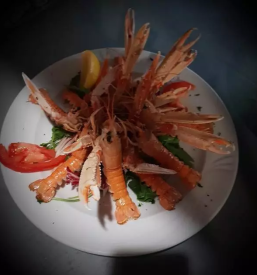 Kvalitetne morske jedi izola