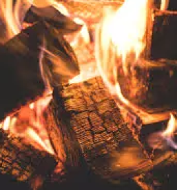 Ugodna bukova drva stajerska