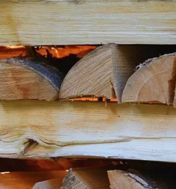 Ugodna drva za kurjavo podravska