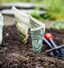 Urejanje zakljucnih bilanc velenje